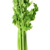 Limp Celery