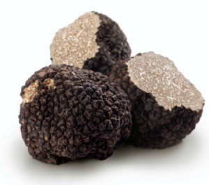 black truffle