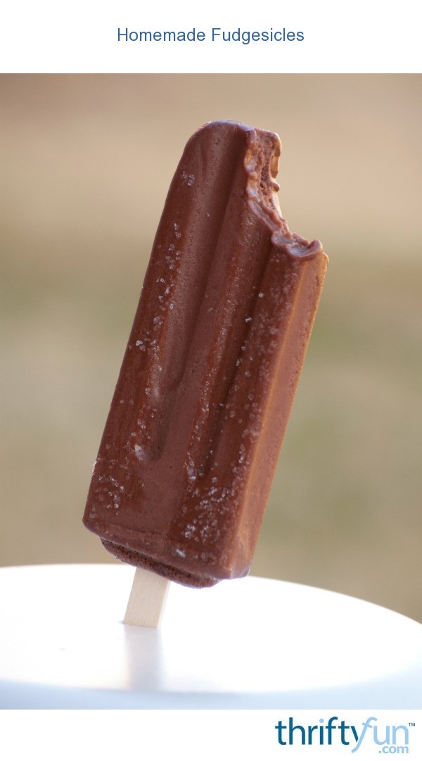 Homemade Fudgesicle Recipes ThriftyFun