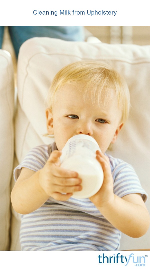 Cleaning Milk From Upholstery Thriftyfun