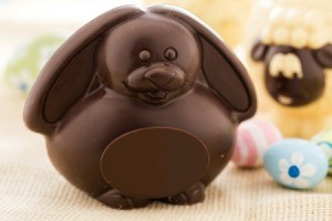 cute roundish chocolate bunny