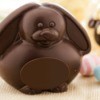 cute roundish chocolate bunny