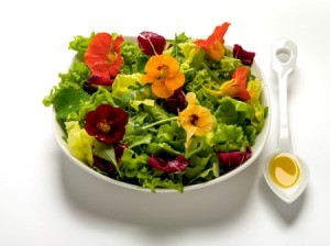 Nasturtium Salad