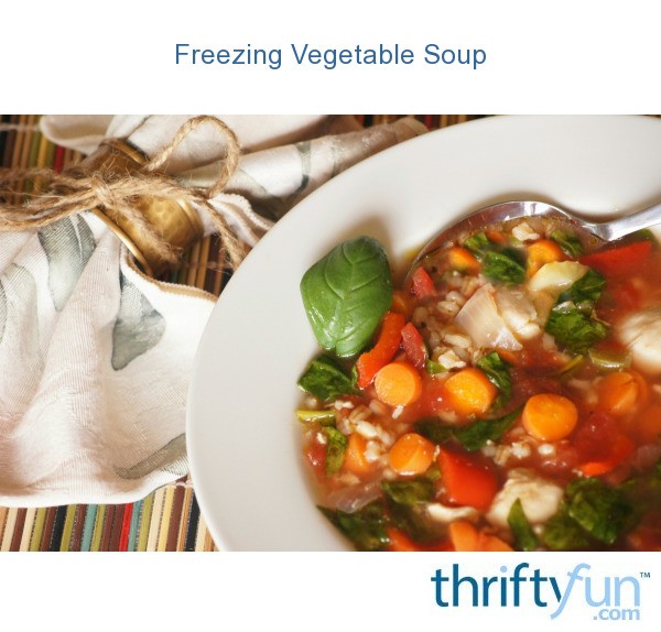 Freezing Vegetable Soup? ThriftyFun