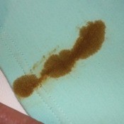 Curry stain on blue capris.