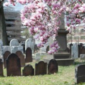 tombstones in a cemetery