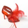 red shoes with feathers
