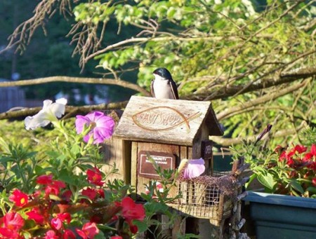 New Tenants in the Birdhouse