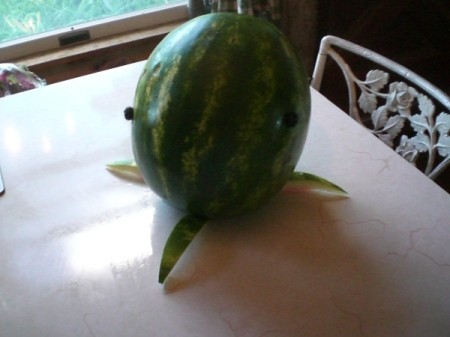 Summer Shark Fruit Bowl