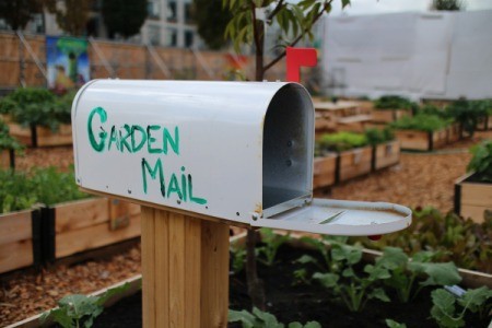 maibox in garden