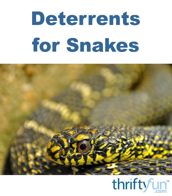Deterrents for Snakes | ThriftyFun