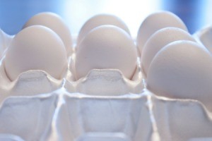 closeup of eggs in Styrofoam carton