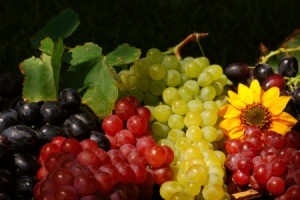 bowl of red, green, and black grapes
