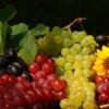 bowl of red, green, and black grapes