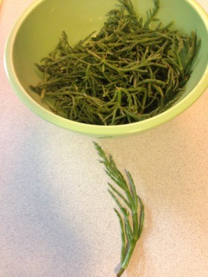 Sea Beans in a bowl