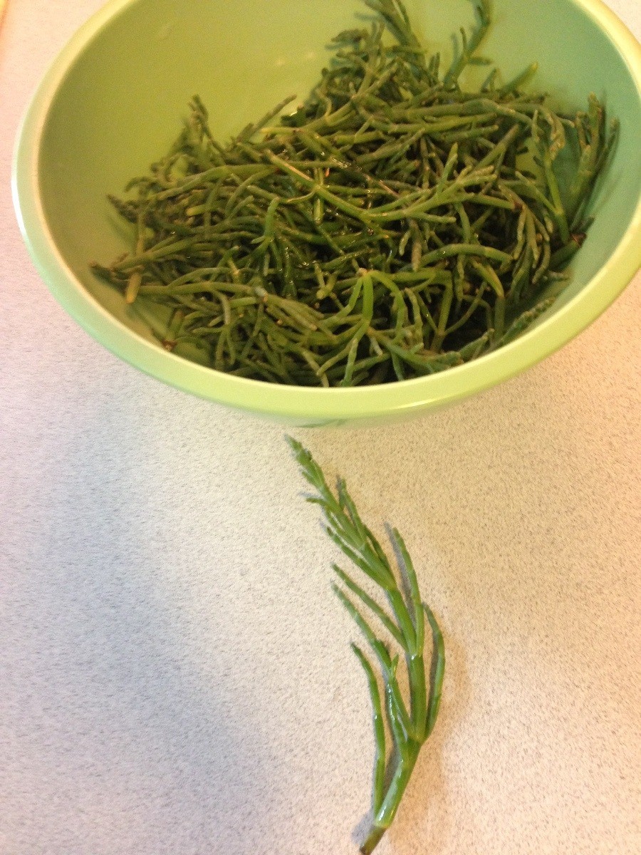 recipes-using-sea-beans-salicornia-thriftyfun