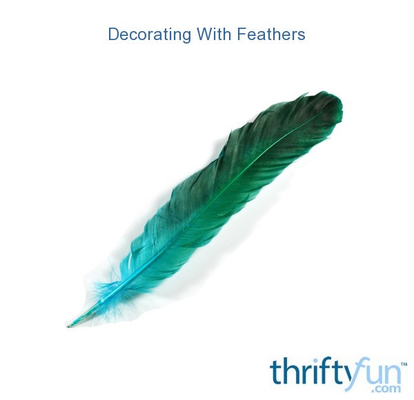 Decorating With Feathers | ThriftyFun