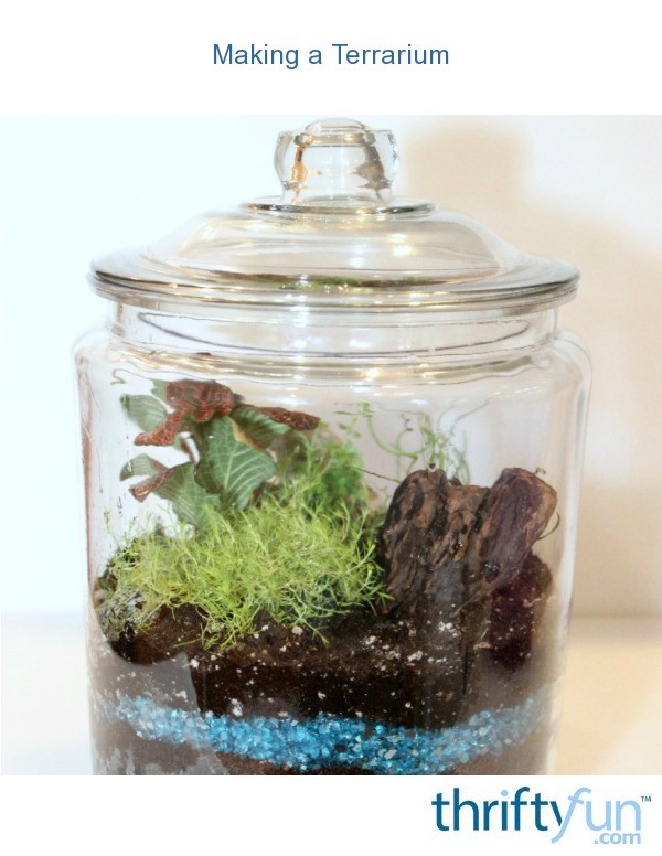 Making a Terrarium ThriftyFun