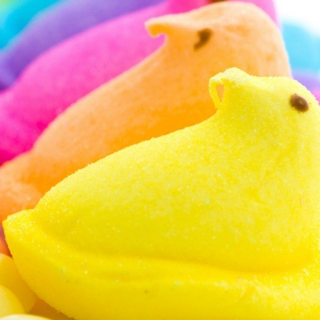 Peeps Headband