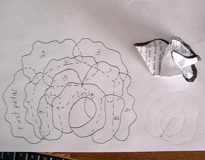 drawing of arrangement of petals