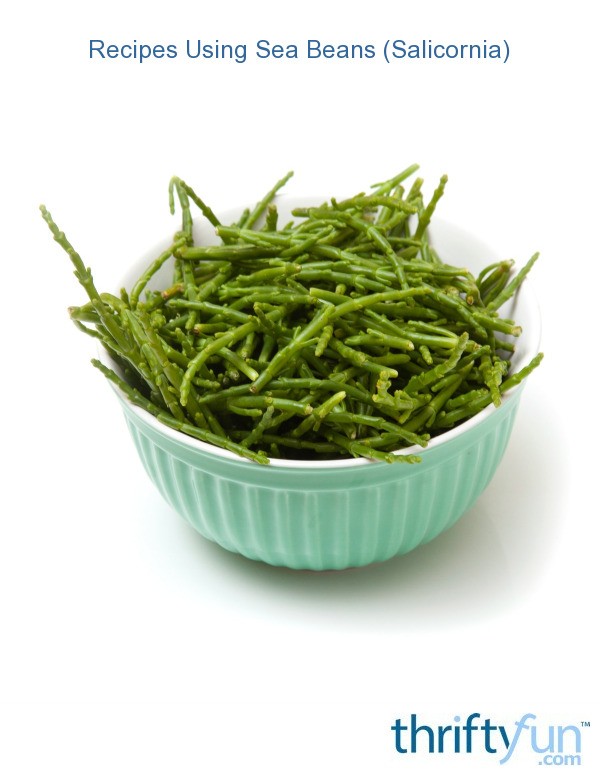 Recipes Using Sea Beans (Salicornia) ThriftyFun