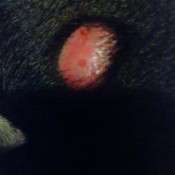 red lump on puppy