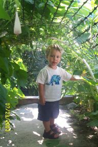 Garden Tunnel for Kids - young boy standing inside the tunnel