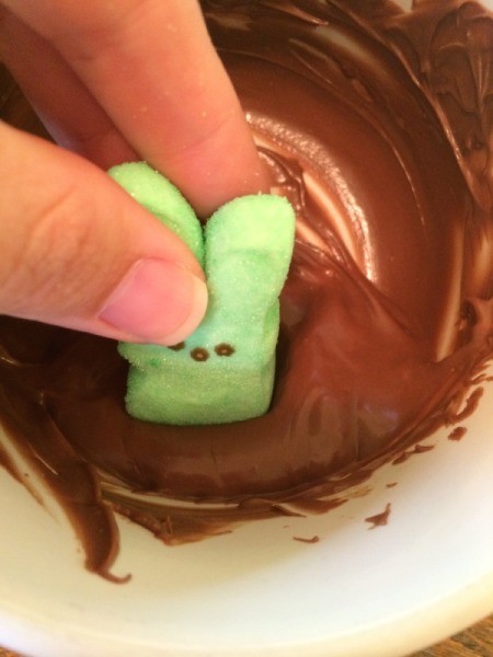 dipping a bunny in chocolate