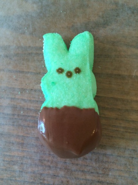 green bunny dipped in chocolate