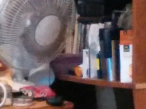 Cleaning Fans