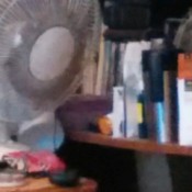 Cleaning Fans