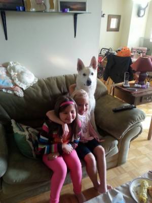 dog on couch with children