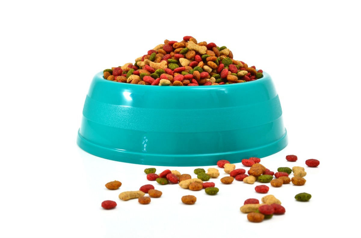 Keeping Flies Out Of Dog's Food? | ThriftyFun