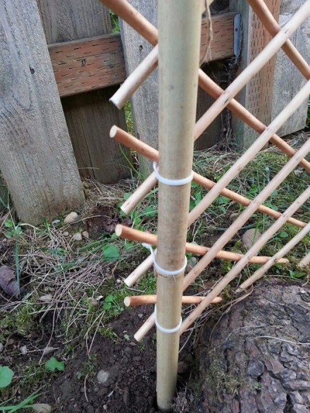 attaching bamboo to poles with zip ties