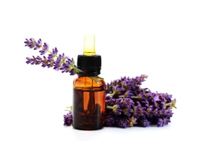 lavender flowers and bottle of essential oil