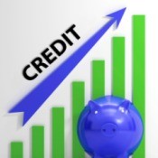 Establishing Credit