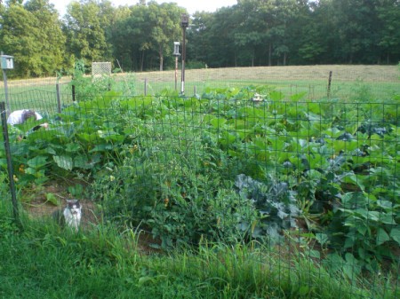 husband and Annie in garden