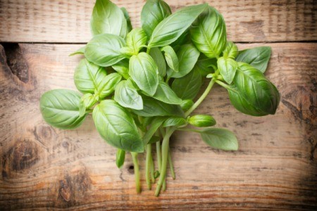 Recipes Using Fresh Basil