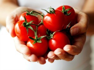 Cooking with Tomatoes