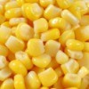 Corn Pudding Recipes