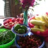 garden produce arrayed on table