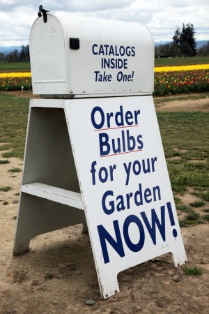 bulb catalog sign