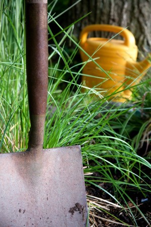shovel and watering can in garden