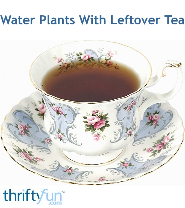 Water Plants With Leftover Tea ThriftyFun