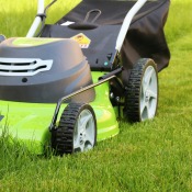 Lawn Care Tips and Tricks