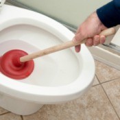 plunging toilet