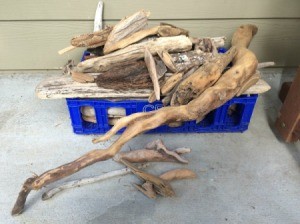 driftwood