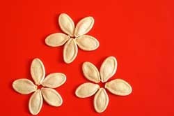 seeds arranged in flower shapes