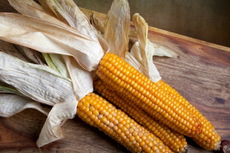 Corn