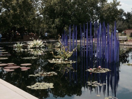 cobalt blue spires rising from the lily pond